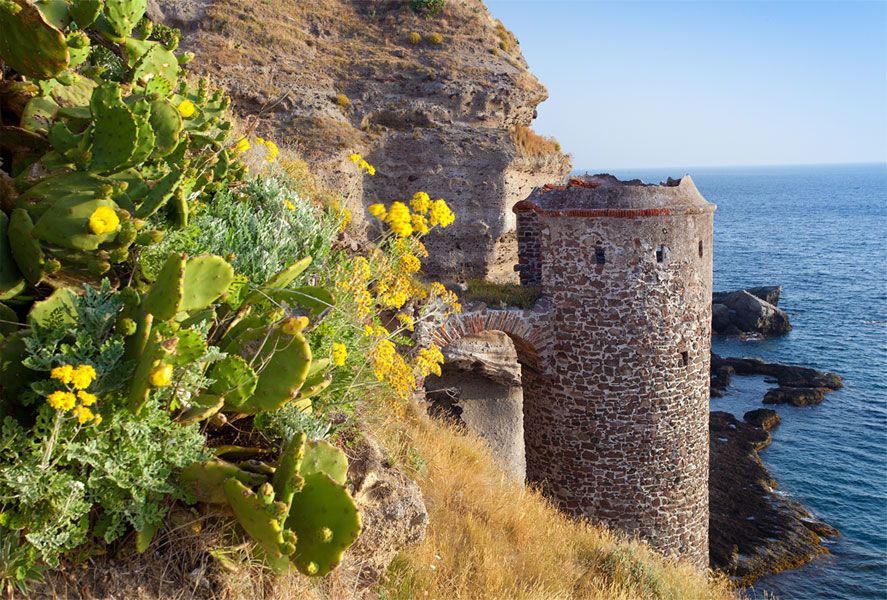 Flowers and castle on capraia island, Elba, Tuscany, Italy, Euro Di honzahruby