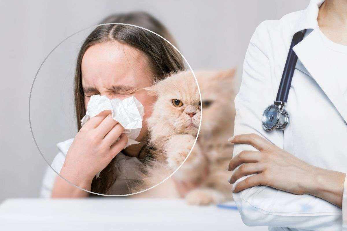 allergie animali