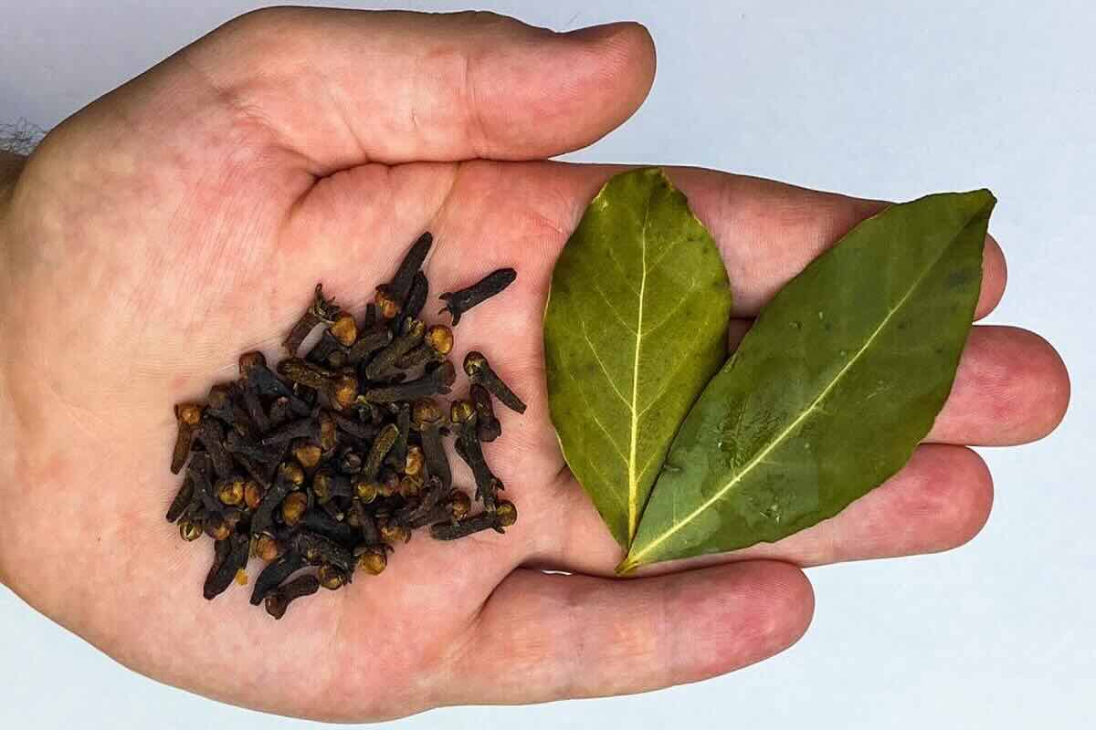 Questi 2 ingredienti sono potentissimi insieme ma quasi nessuno lo sa