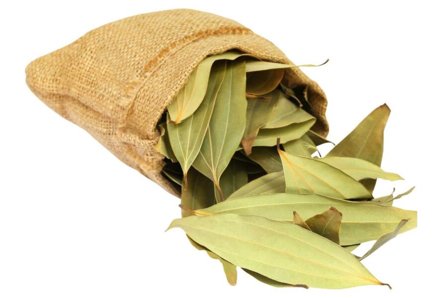 foglie alloro in sacchetto