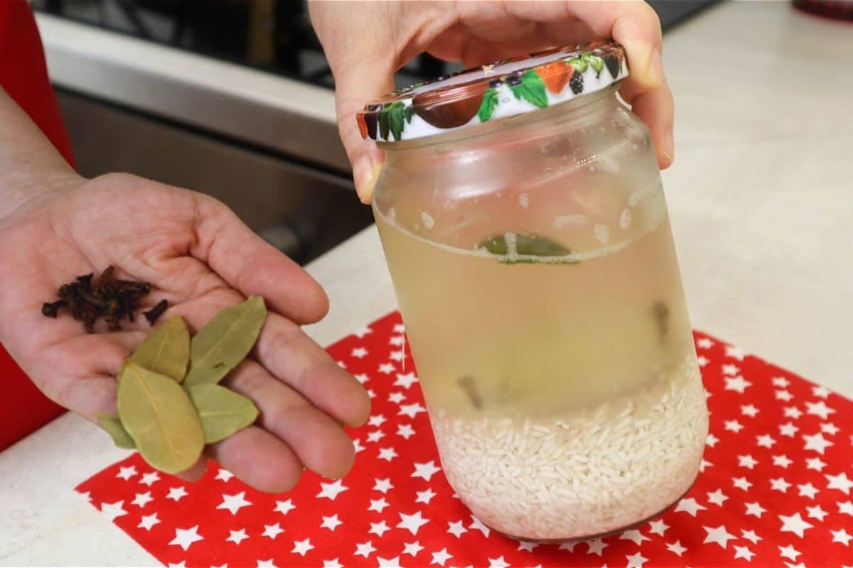 Spruzza questo liquido sui capelli: cresceranno in pochissimo tempo
