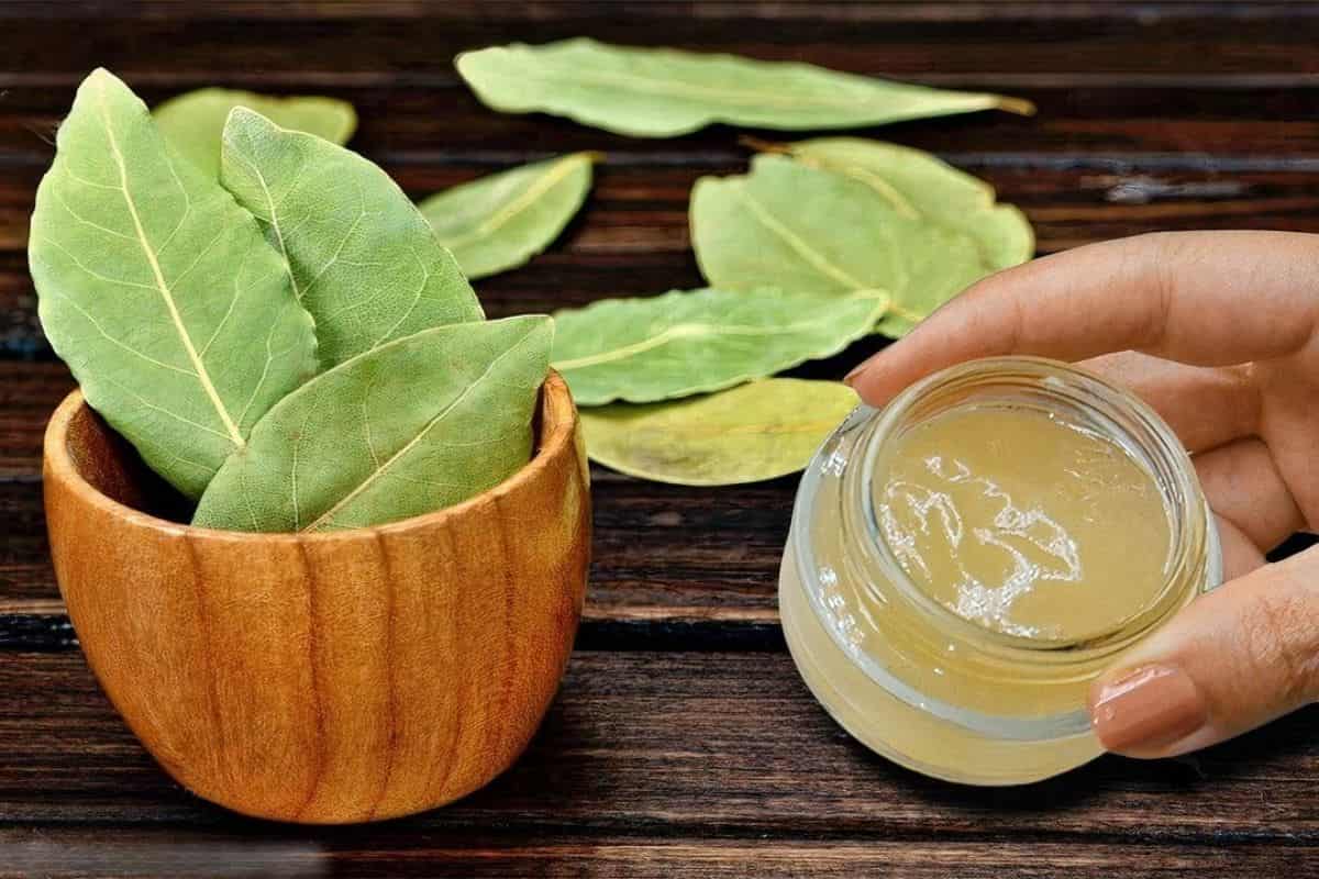 foglie alloro e crema