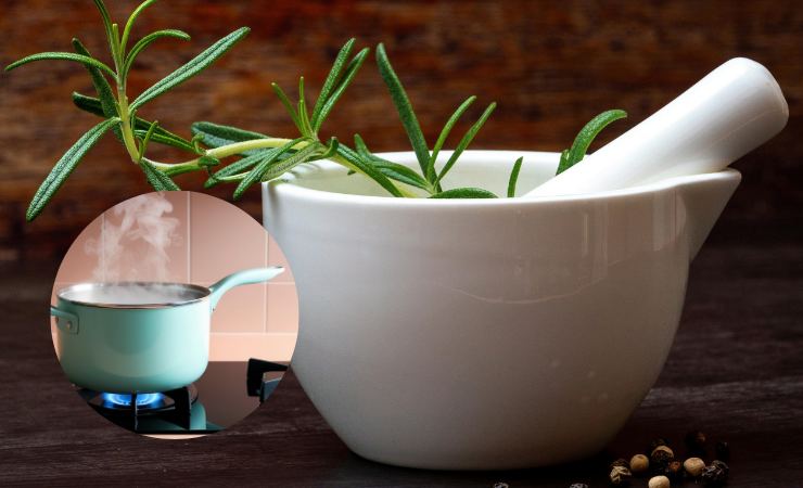 contenitore con rosmarino, pentola sul fuoco, chiodi di garofano 