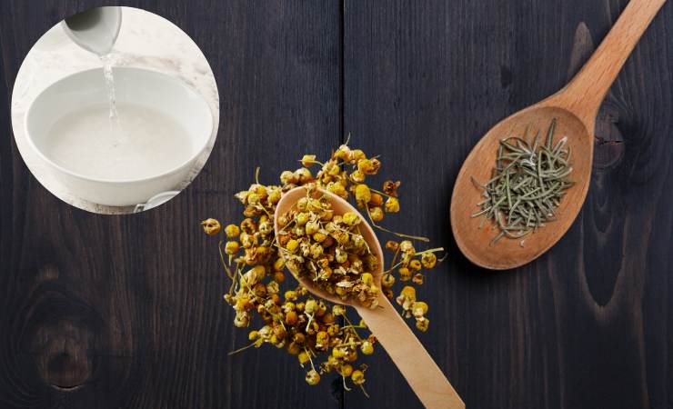 acqua, cucchiaio di camomilla e di rosmarino