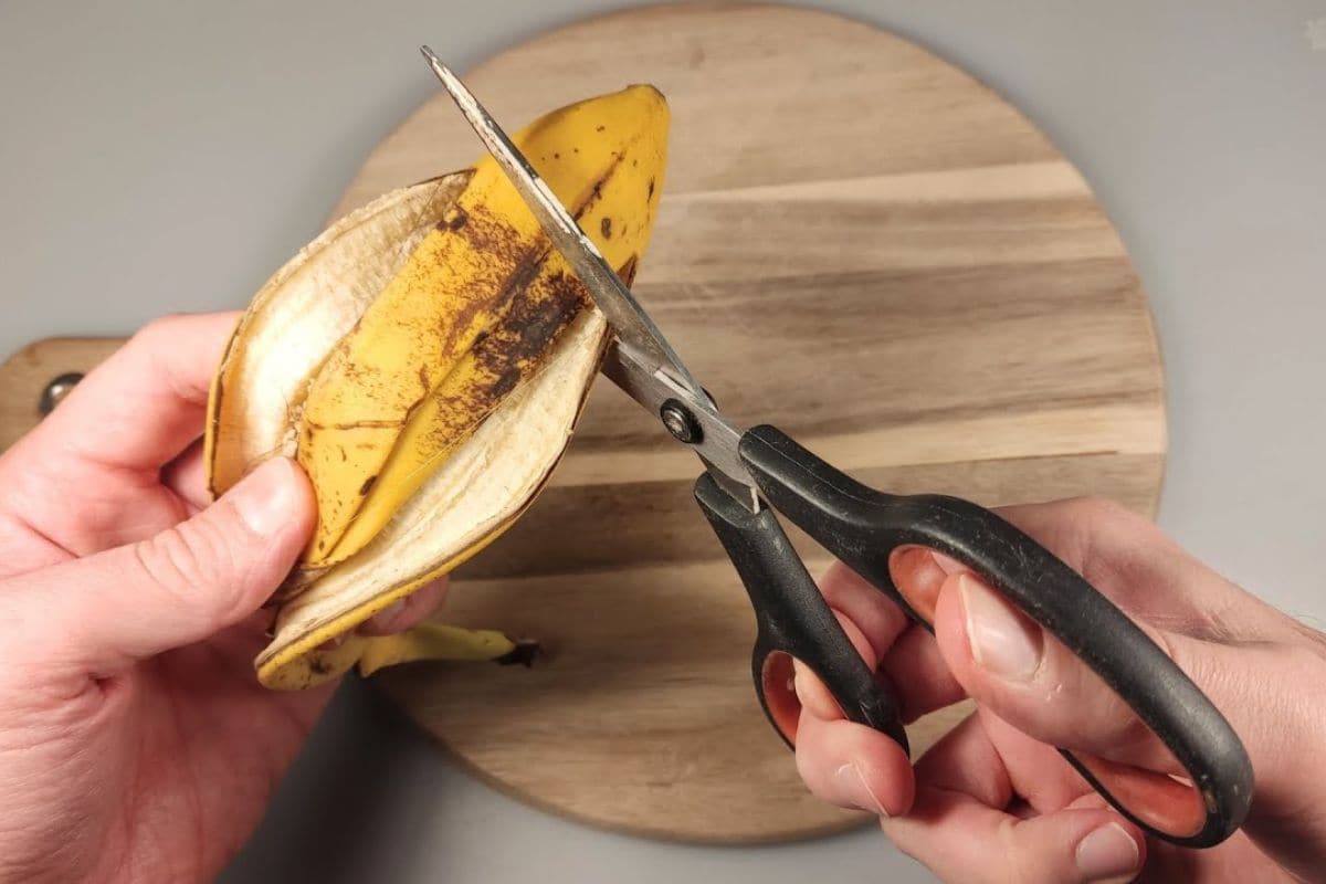 Prendi la buccia della banana e tagliala con le forbici: l’effetto ti lascerà senza fiato
