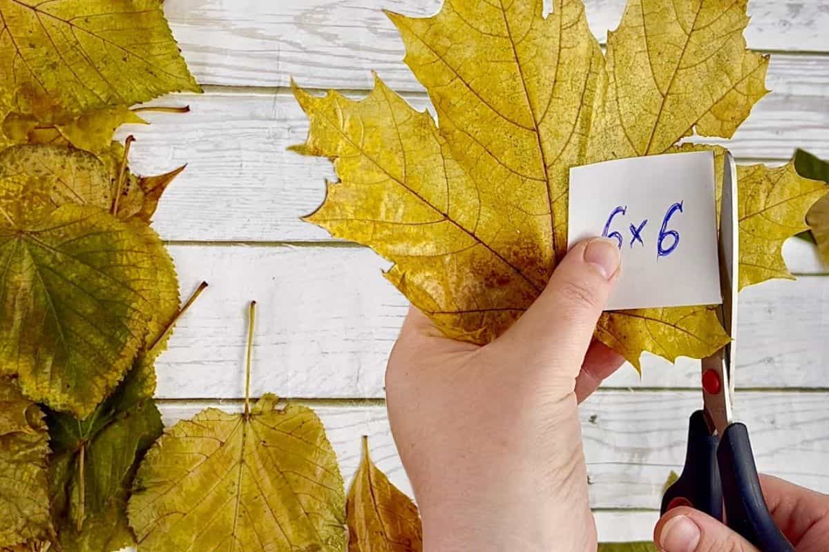 Ho cucito qualcosa di fantastico usando foglie autunnali: provaci e vedrai