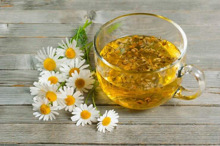 Tazza con camomilla, margherite 