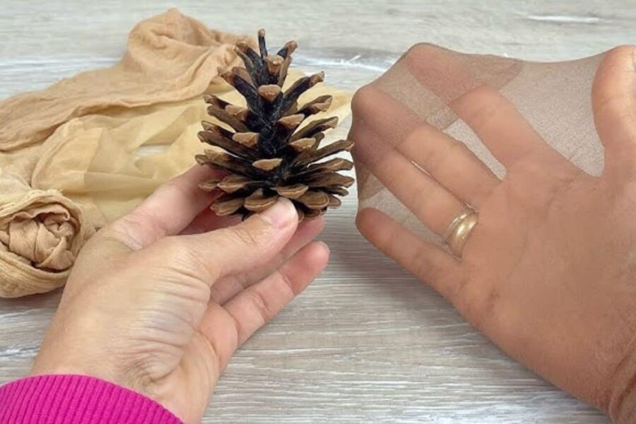 Pigna e calze da donna