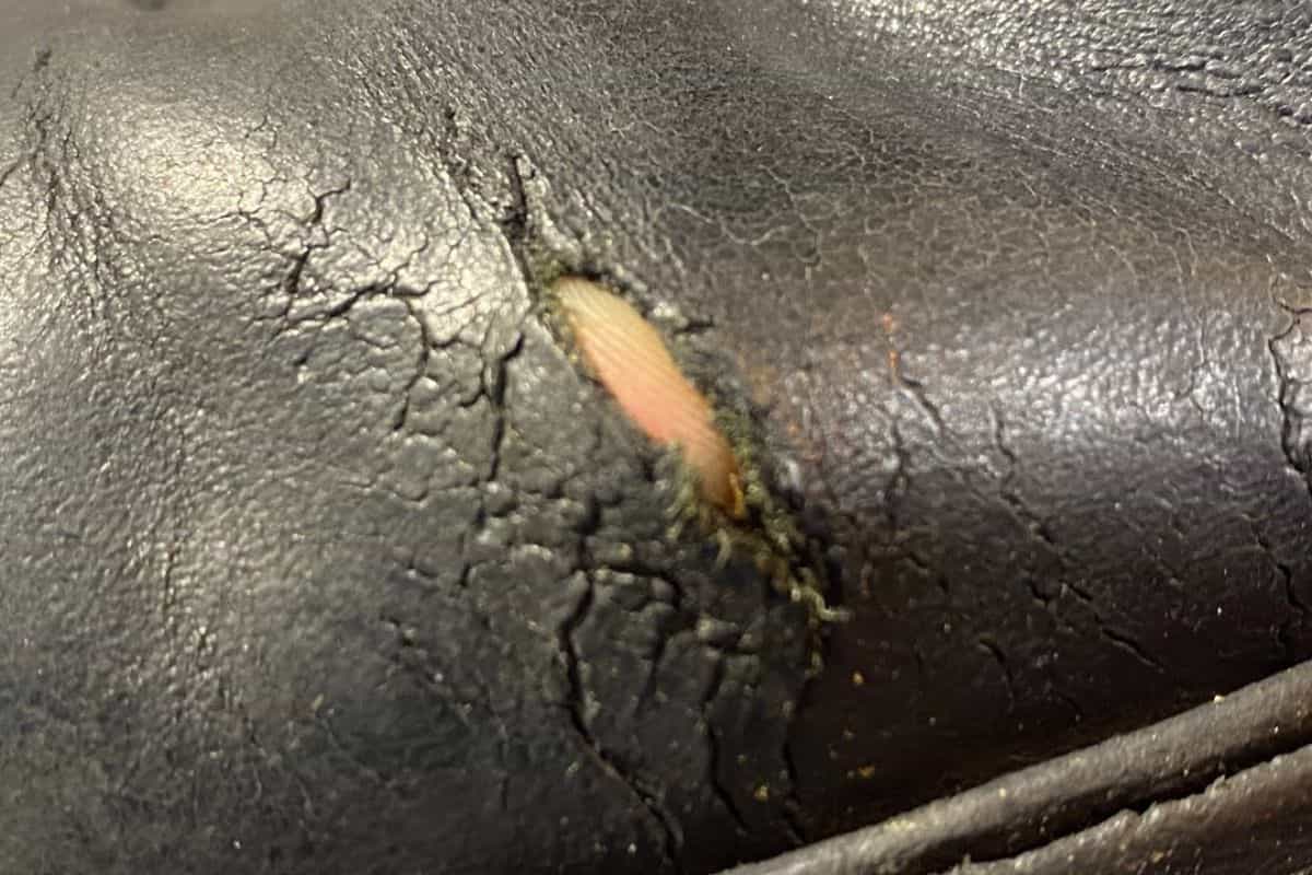 Scarpe di pelle danneggiate? Ecco come ripararle in pochi passaggi