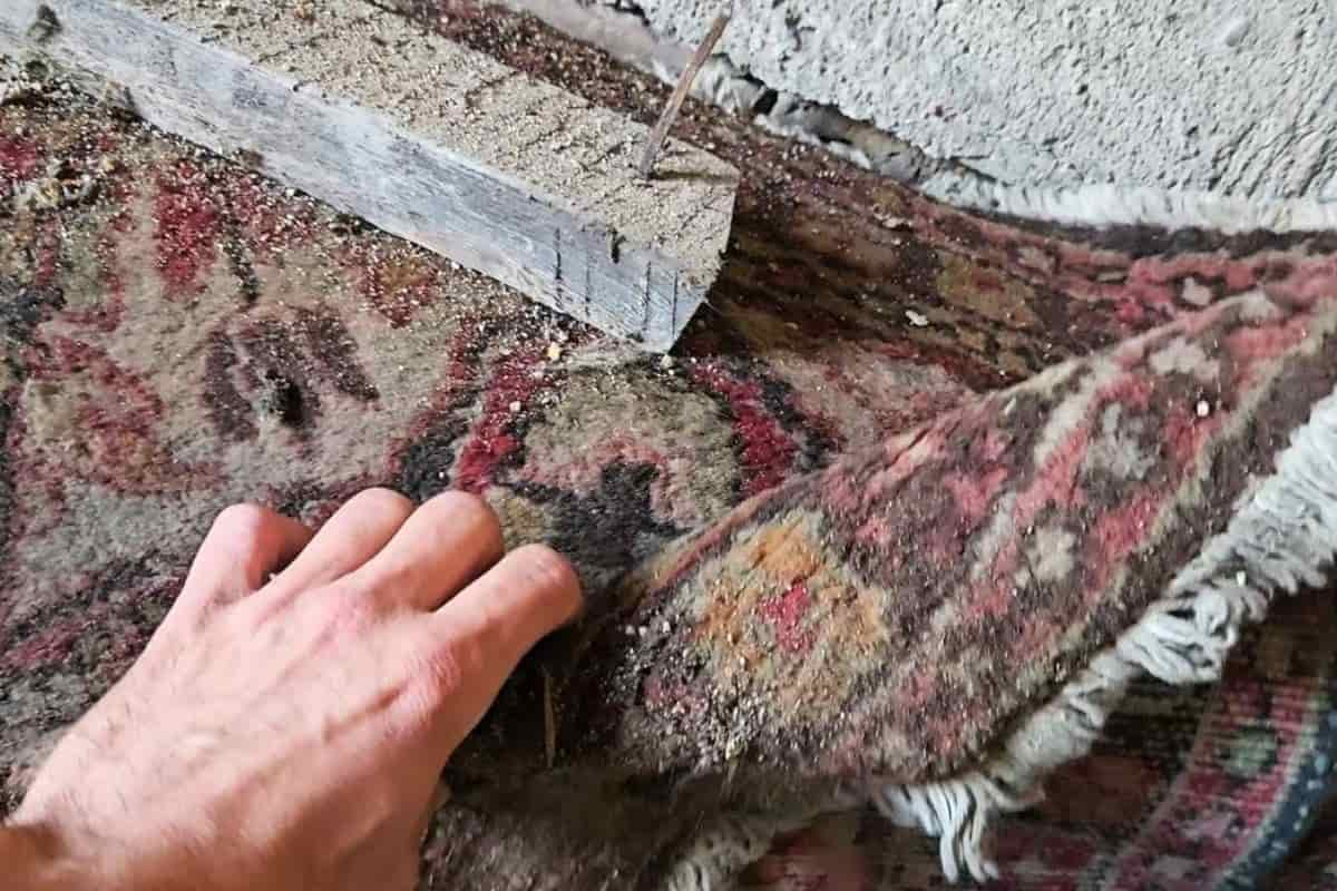 Ho trovato questo tappeto in soffitta e l’ho trasformato in qualcosa di prezioso