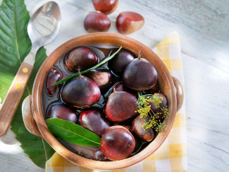 ciotola con dentro acqua e castagne