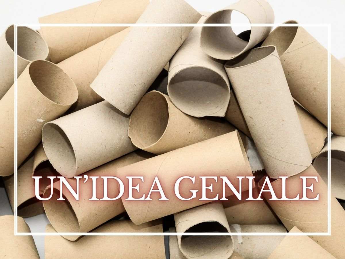 tanti rotoli di carta igienica ammassati