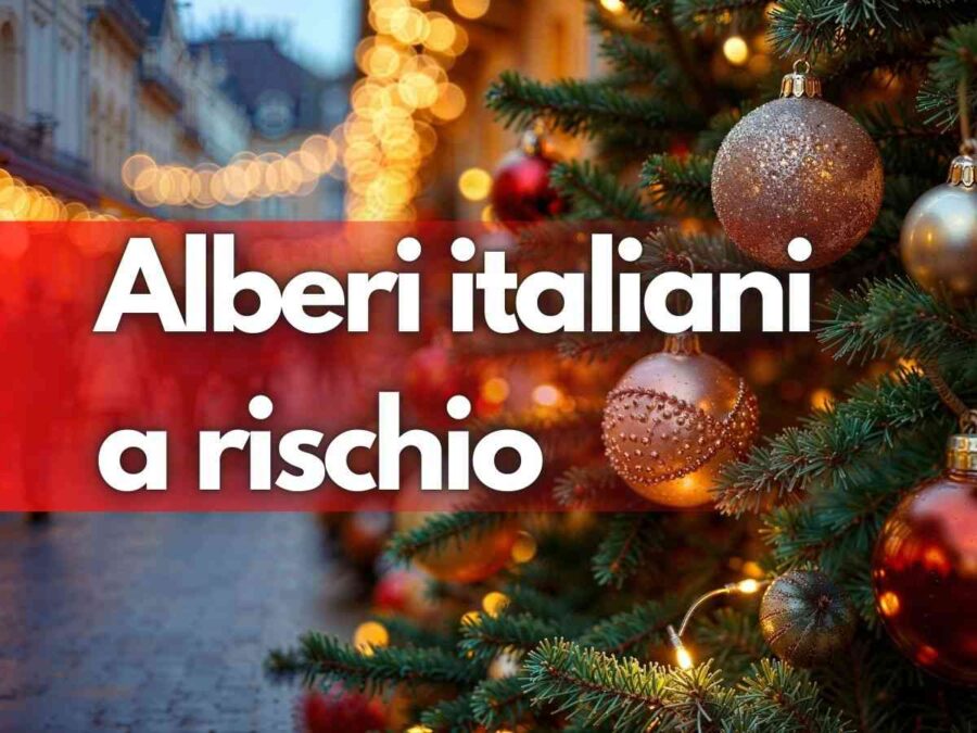 scritta alberi italiani a rischio