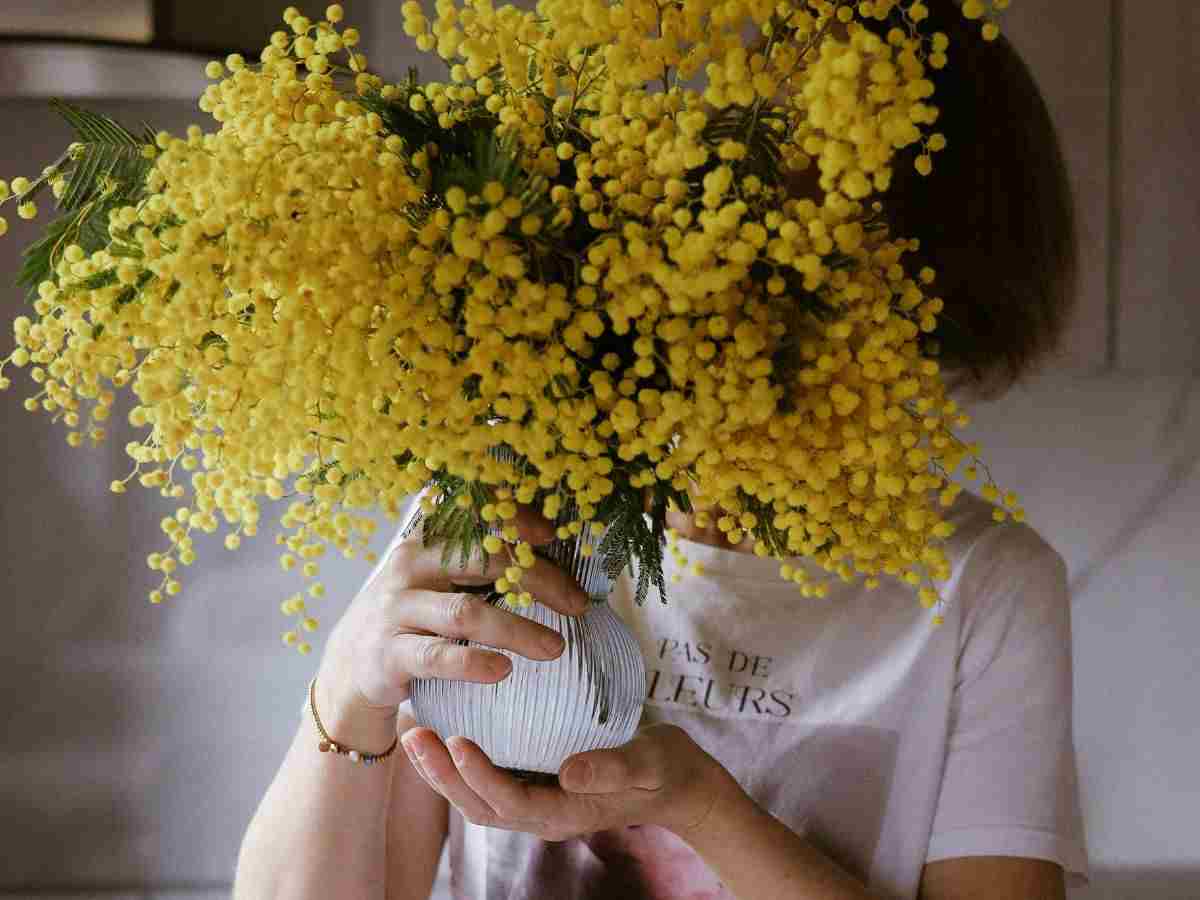 persona tiene in mano un vaso con mimose
